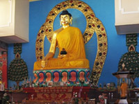 Buddha birthday