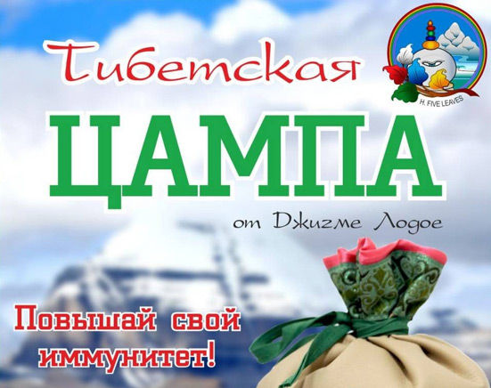 Цампа тибетская