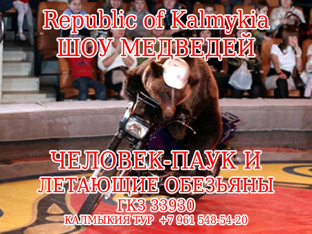 Цирк хищников Цирк хищников