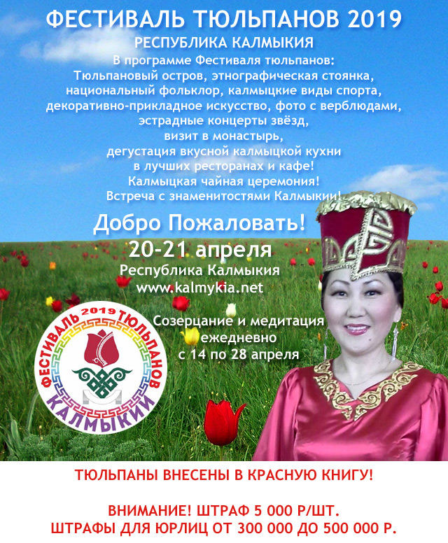Фестиваль тюльпанов в Калмыкии