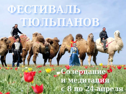 Фестиваль Тюльпанов в Калмыкии