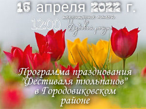 Фестиваль тюльпанов