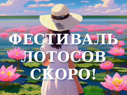 Лотосы