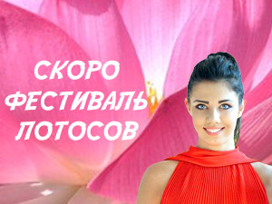 Фестиваль Лотосов