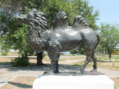 Памятник верблюду