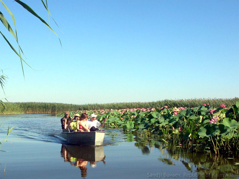 Лагань