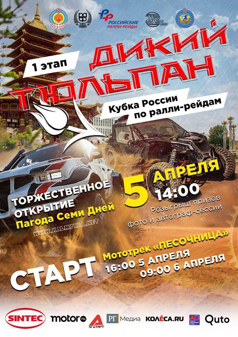 Ралли-рейд Дикий Тюльпан