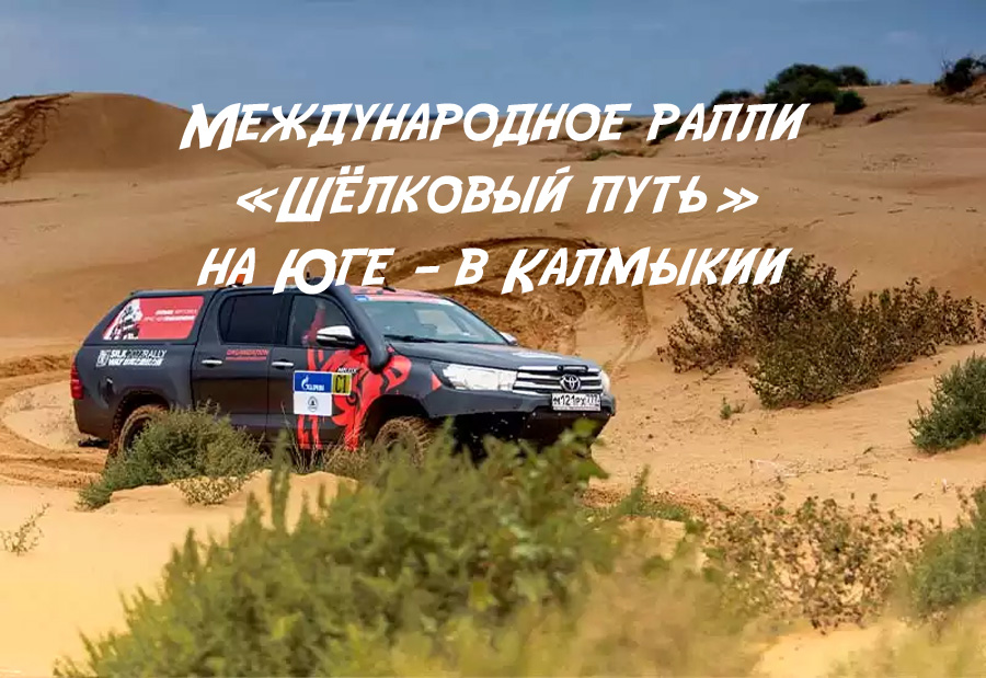 Международное ралли Международное ралли