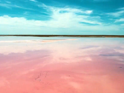 Розовое озеро в Калмыкии