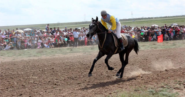 Поселок Ергенинский