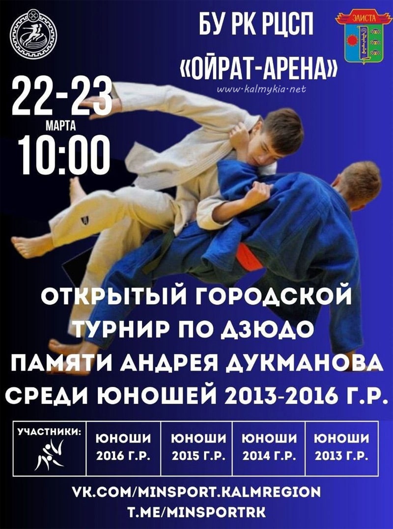 Турнир по дзюдо